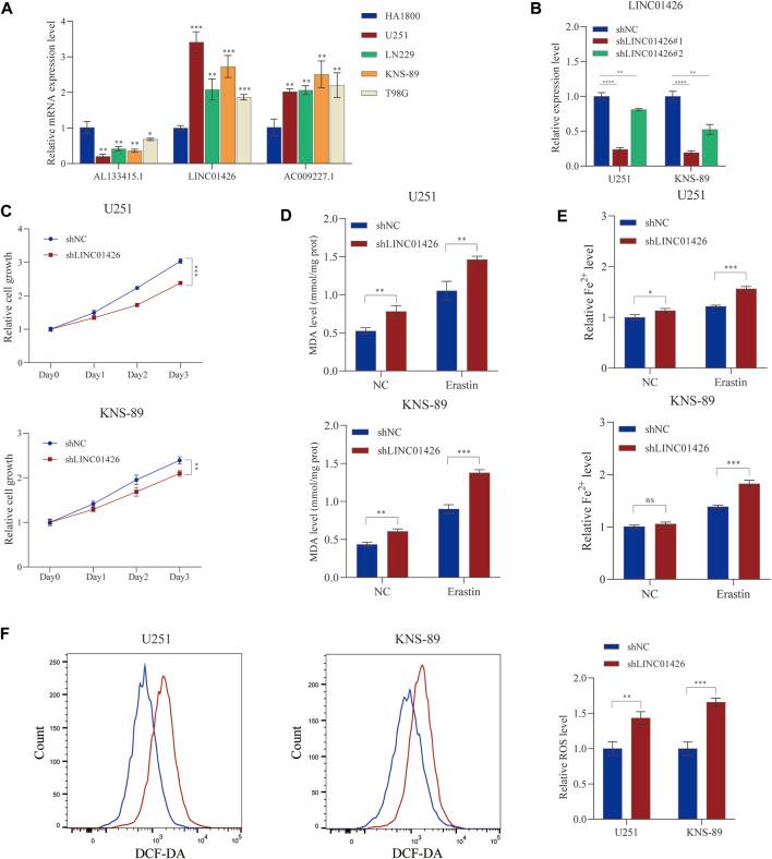 https://cdn.ncbi.nlm.nih.gov/pmc/blobs/07a2/9549413/cc8e101023b9/fgene-13-927142-g009.jpg