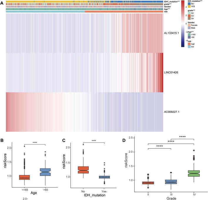 https://cdn.ncbi.nlm.nih.gov/pmc/blobs/07a2/9549413/f4d481e495a2/fgene-13-927142-g005.jpg