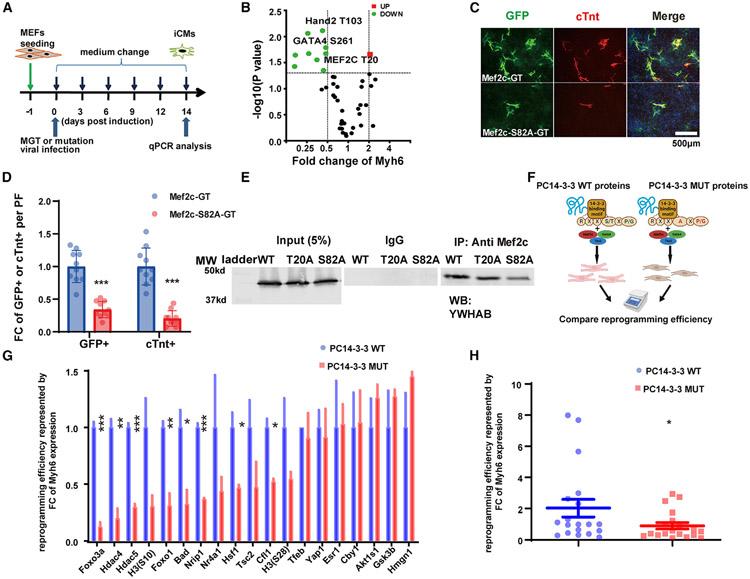 https://cdn.ncbi.nlm.nih.gov/pmc/blobs/07a3/11081035/f5a390e68306/nihms-1988703-f0002.jpg