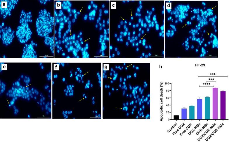 https://cdn.ncbi.nlm.nih.gov/pmc/blobs/07a4/7797119/774458032a18/12951_2020_764_Fig9_HTML.jpg