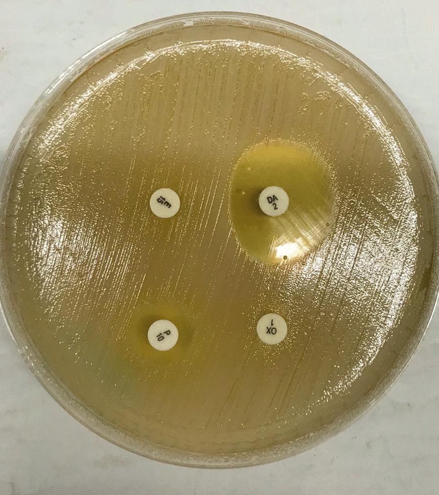 https://cdn.ncbi.nlm.nih.gov/pmc/blobs/07a4/7888091/ccd3385d7d94/13756_2021_897_Fig1_HTML.jpg