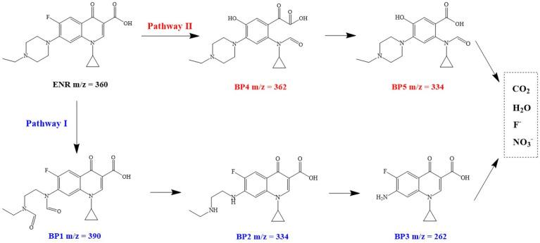 https://cdn.ncbi.nlm.nih.gov/pmc/blobs/07a4/9415348/797c752f0161/nanomaterials-12-02842-g009.jpg