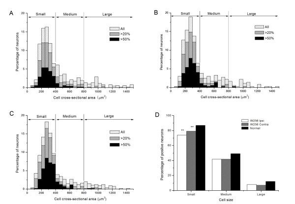 https://cdn.ncbi.nlm.nih.gov/pmc/blobs/07a5/2894792/735ee1c4dd0a/1471-2407-10-216-4.jpg