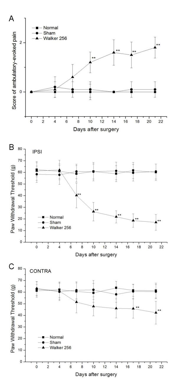 https://cdn.ncbi.nlm.nih.gov/pmc/blobs/07a5/2894792/7c9738dd23b7/1471-2407-10-216-1.jpg