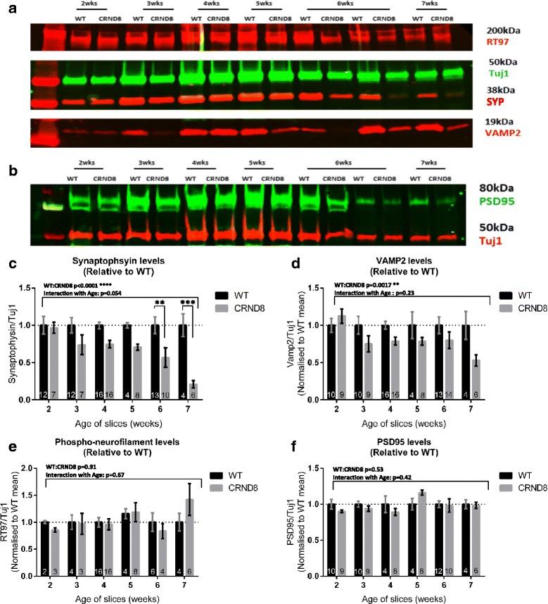 https://cdn.ncbi.nlm.nih.gov/pmc/blobs/07a6/4903008/65dcebafacc5/13024_2016_110_Fig5_HTML.jpg
