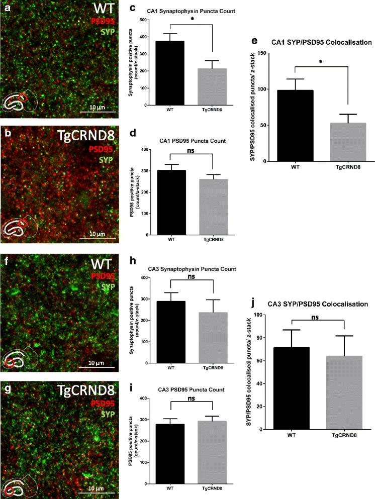 https://cdn.ncbi.nlm.nih.gov/pmc/blobs/07a6/4903008/e2a14d7df248/13024_2016_110_Fig6_HTML.jpg