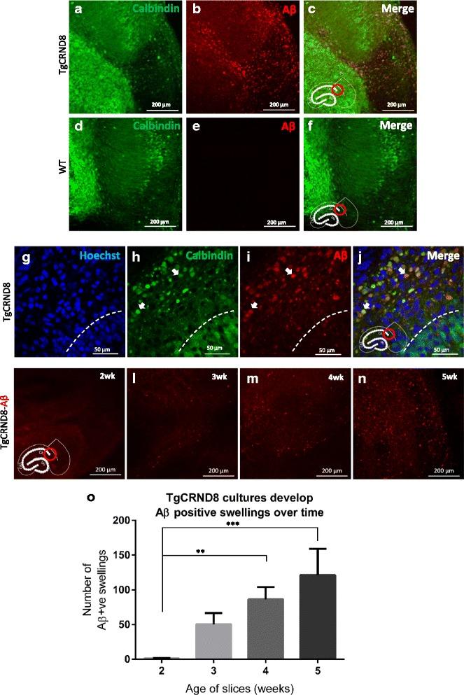 https://cdn.ncbi.nlm.nih.gov/pmc/blobs/07a6/4903008/f73fead46d98/13024_2016_110_Fig3_HTML.jpg