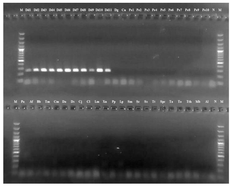 https://cdn.ncbi.nlm.nih.gov/pmc/blobs/07a6/8000392/520460b2ca73/foods-10-00580-g003.jpg
