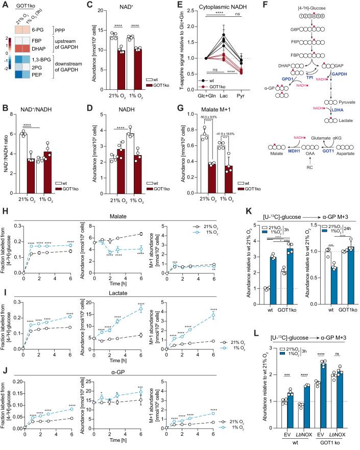 https://cdn.ncbi.nlm.nih.gov/pmc/blobs/07a7/11021510/899aea6854dd/44318_2024_65_Fig4_HTML.jpg