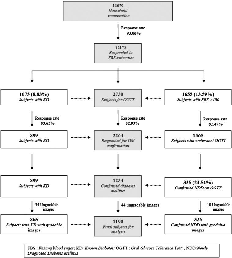 https://cdn.ncbi.nlm.nih.gov/pmc/blobs/07a7/4212556/b805136f4470/bmjdrc2013000005f03.jpg