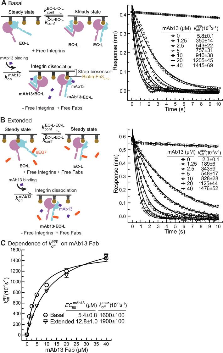 https://cdn.ncbi.nlm.nih.gov/pmc/blobs/07a7/8730728/24717ac11652/elife-73359-fig6.jpg