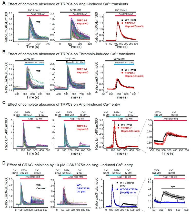 https://cdn.ncbi.nlm.nih.gov/pmc/blobs/07a9/7072683/6b678416fe74/cells-09-00322-g004.jpg