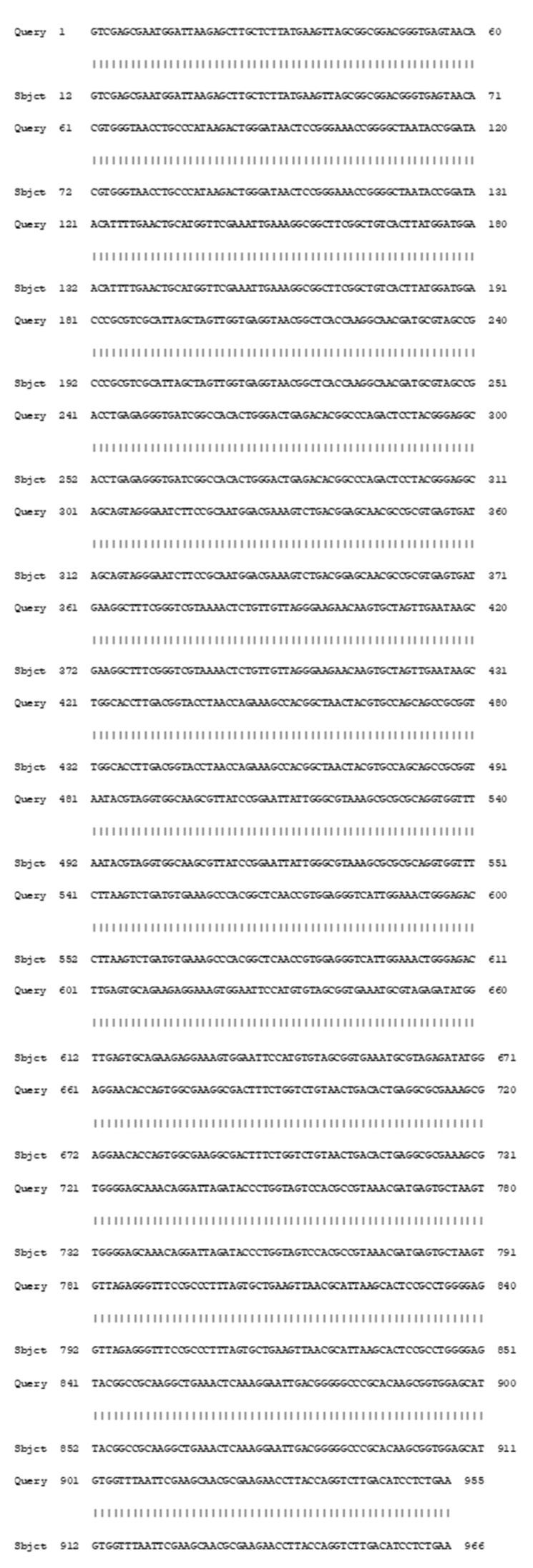 https://cdn.ncbi.nlm.nih.gov/pmc/blobs/07a9/8625221/4b5e1b92c281/microorganisms-09-02395-g001.jpg
