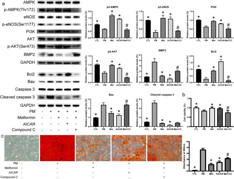 https://cdn.ncbi.nlm.nih.gov/pmc/blobs/07a9/8666063/2162dea2b6ad/10020_2021_416_Fig5_HTML.jpg