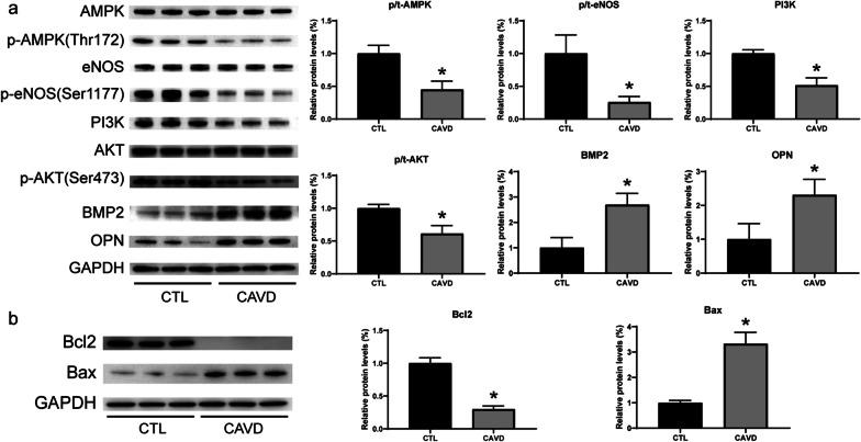 https://cdn.ncbi.nlm.nih.gov/pmc/blobs/07a9/8666063/34a9244bd6dd/10020_2021_416_Fig3_HTML.jpg