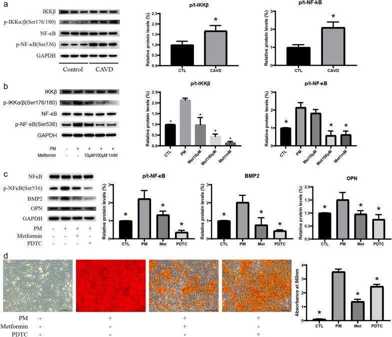 https://cdn.ncbi.nlm.nih.gov/pmc/blobs/07a9/8666063/d6e82414708e/10020_2021_416_Fig6_HTML.jpg