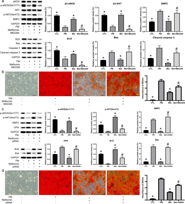https://cdn.ncbi.nlm.nih.gov/pmc/blobs/07a9/8666063/ebb9f6917459/10020_2021_416_Fig7_HTML.jpg