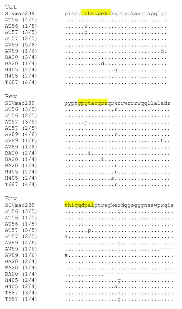 https://cdn.ncbi.nlm.nih.gov/pmc/blobs/07aa/1360091/4cf0cfd6c102/1742-4690-3-1-7.jpg