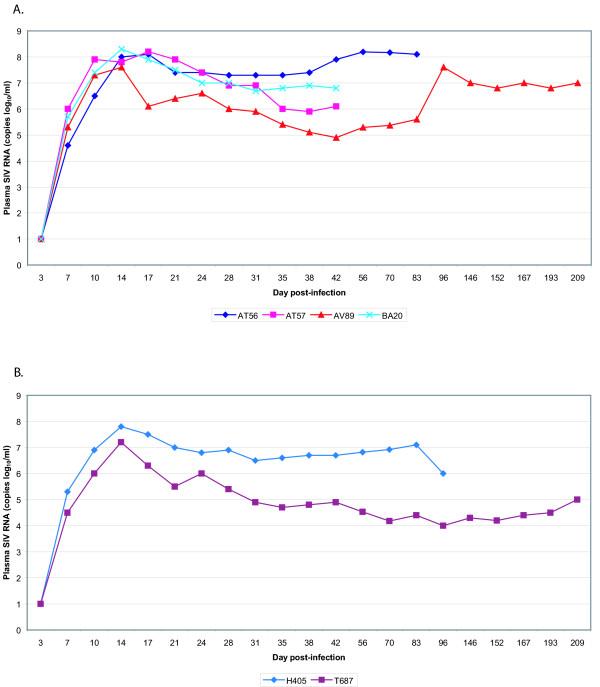 https://cdn.ncbi.nlm.nih.gov/pmc/blobs/07aa/1360091/5f1c616ca263/1742-4690-3-1-3.jpg