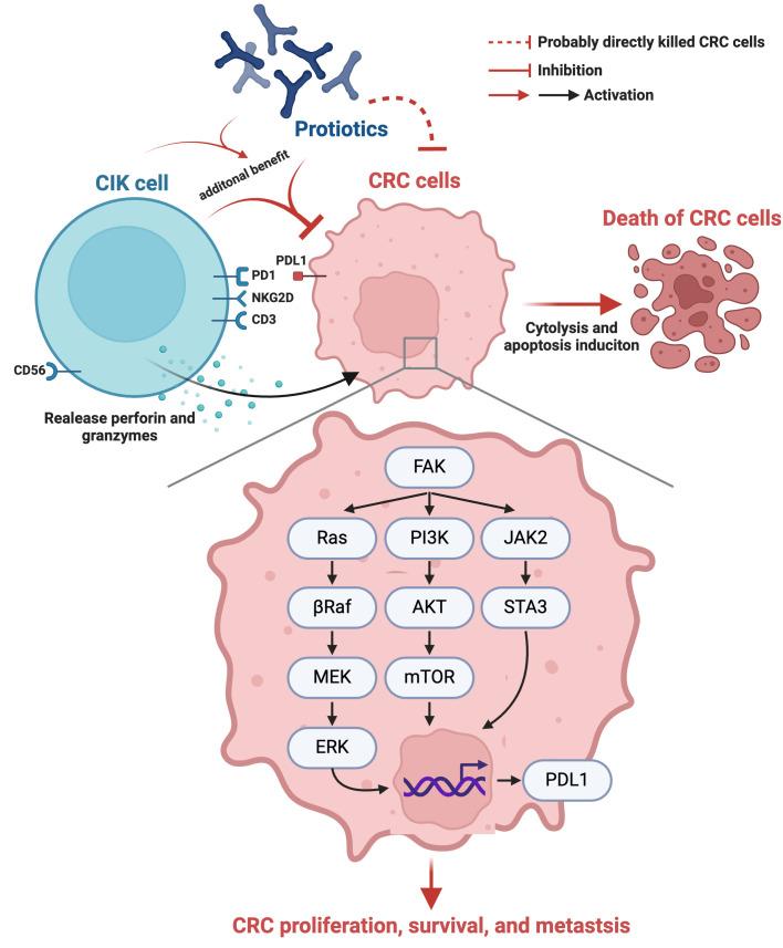 https://cdn.ncbi.nlm.nih.gov/pmc/blobs/07b0/11628340/460181caeea7/ijbsv20p6162g010.jpg