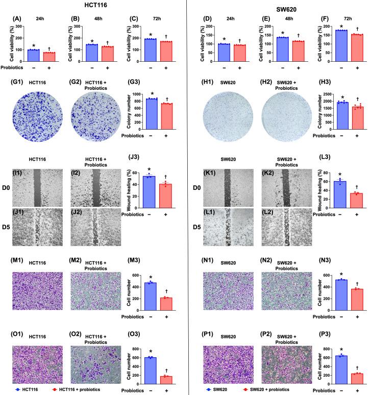 https://cdn.ncbi.nlm.nih.gov/pmc/blobs/07b0/11628340/6f53d4b79862/ijbsv20p6162g001.jpg