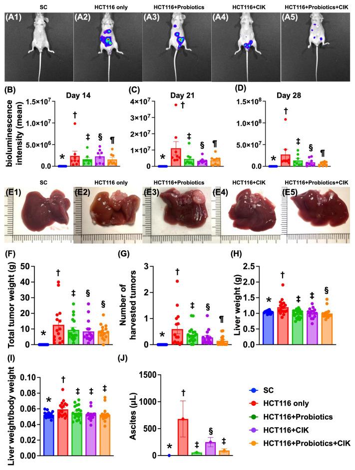 https://cdn.ncbi.nlm.nih.gov/pmc/blobs/07b0/11628340/8d3b54f58866/ijbsv20p6162g005.jpg