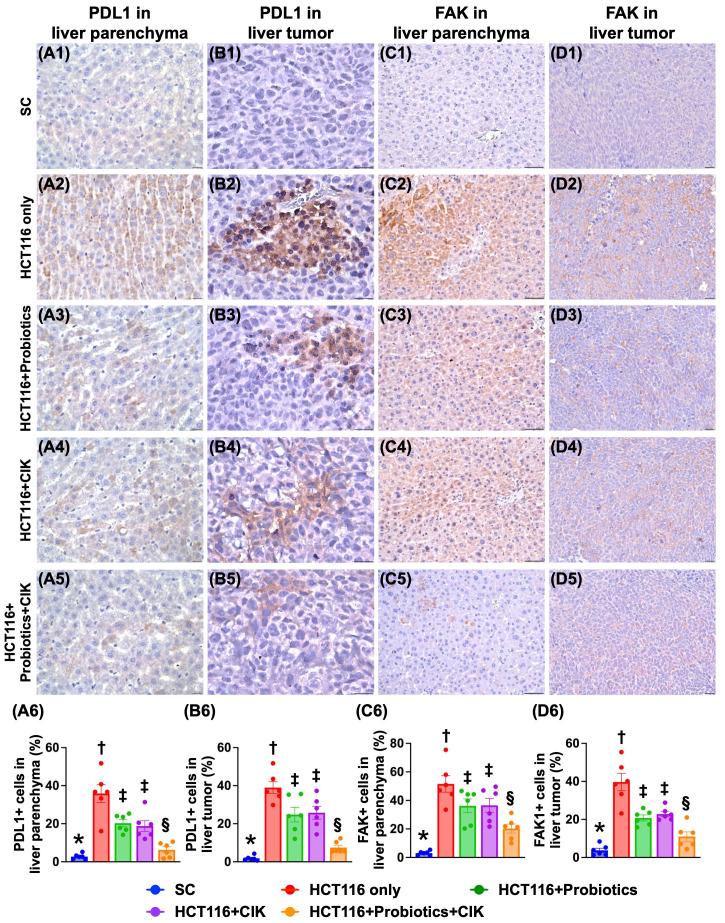 https://cdn.ncbi.nlm.nih.gov/pmc/blobs/07b0/11628340/966fe36a9cff/ijbsv20p6162g006.jpg
