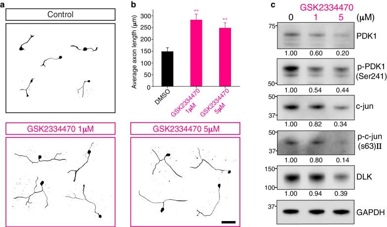 https://cdn.ncbi.nlm.nih.gov/pmc/blobs/07b2/7881570/d23eb188b008/13041_2021_748_Fig4_HTML.jpg