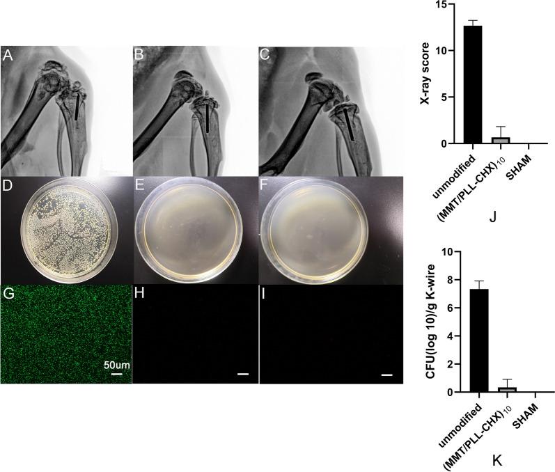 https://cdn.ncbi.nlm.nih.gov/pmc/blobs/07b2/8359346/c2deb0426c9b/12951_2021_985_Fig8_HTML.jpg