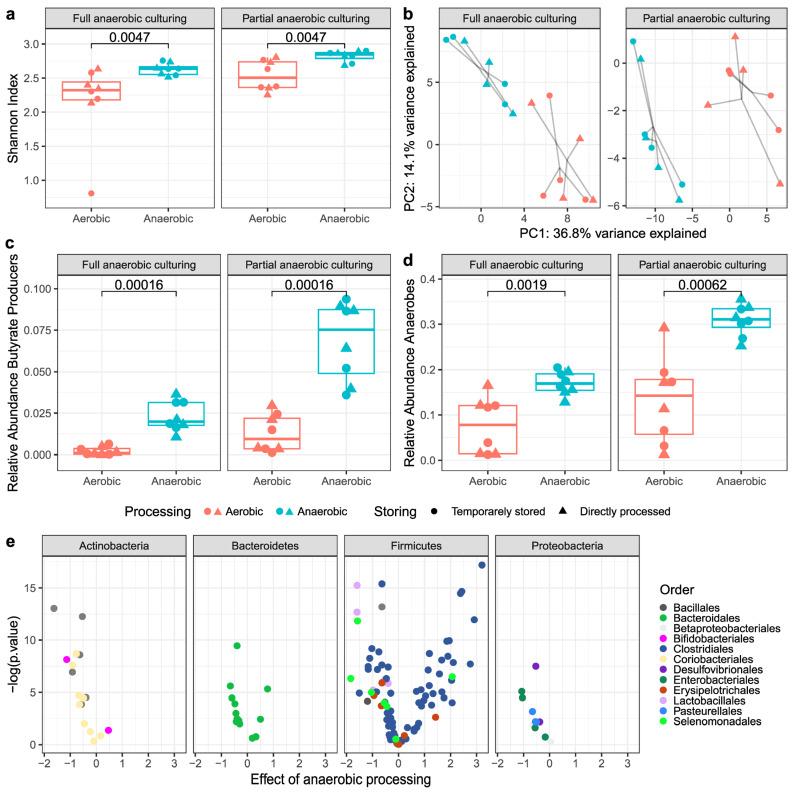 https://cdn.ncbi.nlm.nih.gov/pmc/blobs/07b3/10535047/571fae960e02/microorganisms-11-02238-g003.jpg