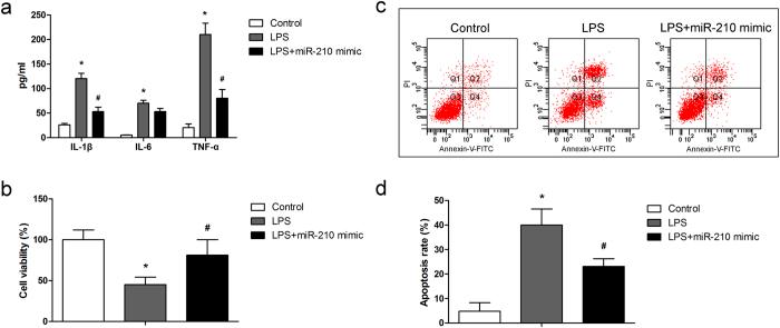https://cdn.ncbi.nlm.nih.gov/pmc/blobs/07b3/4525484/96c8fae5b970/srep12775-f2.jpg