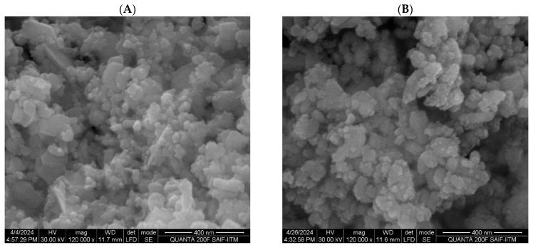 https://cdn.ncbi.nlm.nih.gov/pmc/blobs/07b4/11510838/c6c42af0627e/pharmaceutics-16-01300-g005a.jpg
