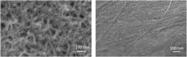 https://cdn.ncbi.nlm.nih.gov/pmc/blobs/07b5/9393226/acbaae6452ac/fchem-10-939736-g004.jpg