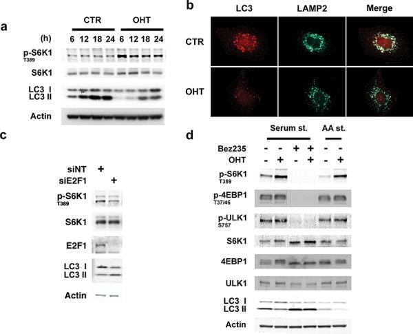 https://cdn.ncbi.nlm.nih.gov/pmc/blobs/07b9/4695044/55934919a37e/oncotarget-06-28057-g003.jpg