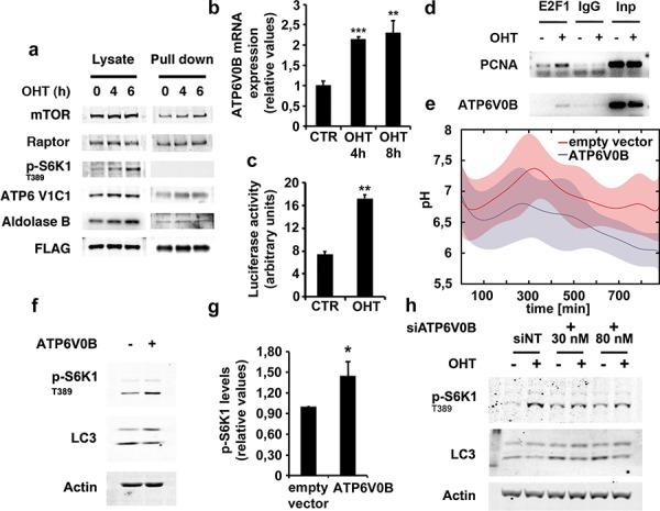 https://cdn.ncbi.nlm.nih.gov/pmc/blobs/07b9/4695044/7ad90558044b/oncotarget-06-28057-g006.jpg