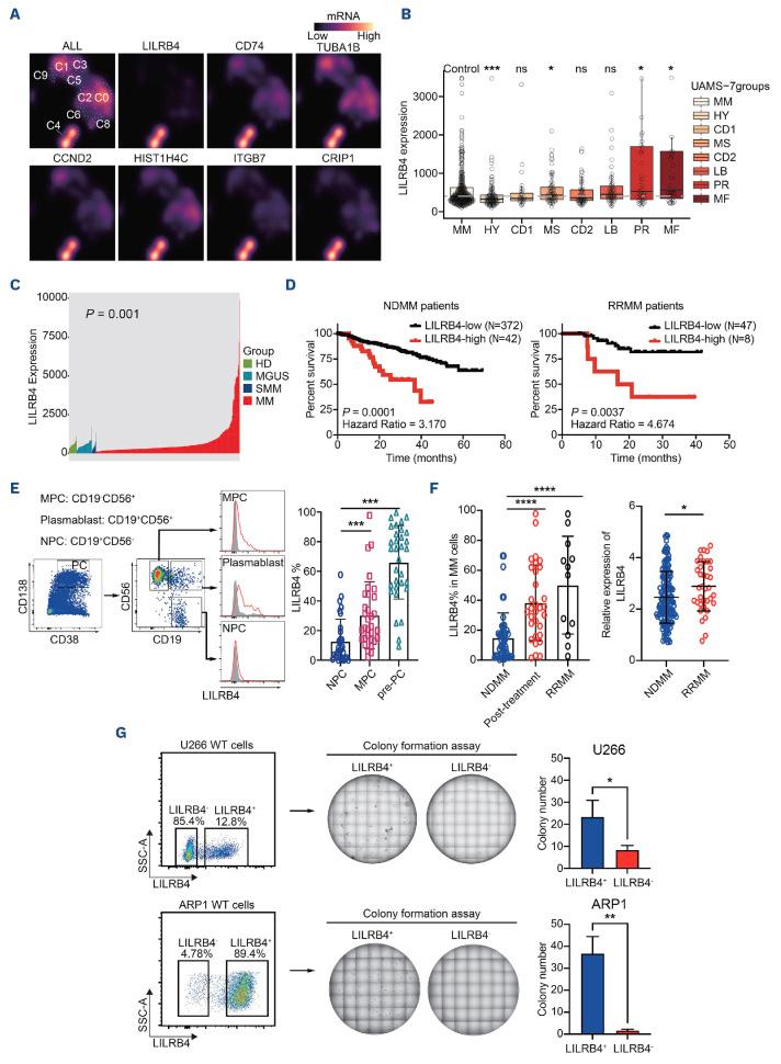 https://cdn.ncbi.nlm.nih.gov/pmc/blobs/07bb/11532705/297e1ab40d70/1093650.fig4.jpg
