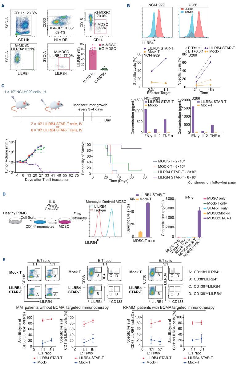 https://cdn.ncbi.nlm.nih.gov/pmc/blobs/07bb/11532705/99d78e6a9411/1093650.fig8.jpg
