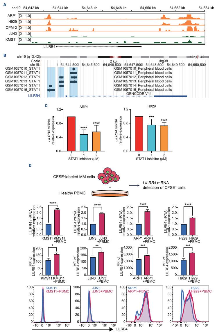 https://cdn.ncbi.nlm.nih.gov/pmc/blobs/07bb/11532705/ace1267bae20/1093650.fig6.jpg