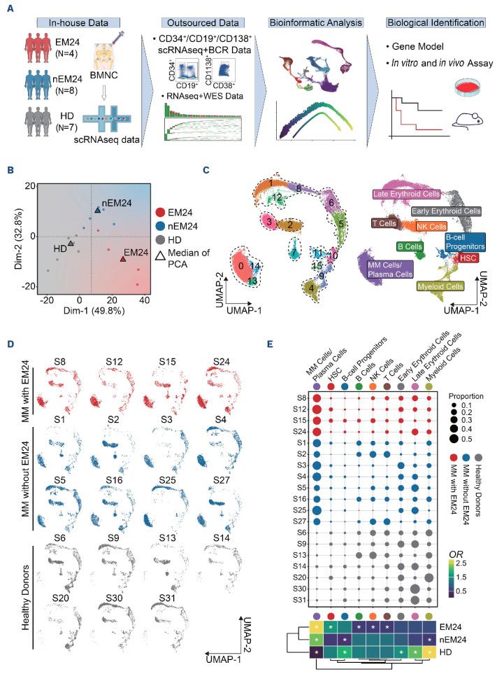 https://cdn.ncbi.nlm.nih.gov/pmc/blobs/07bb/11532705/c93200952b4d/1093650.fig1.jpg