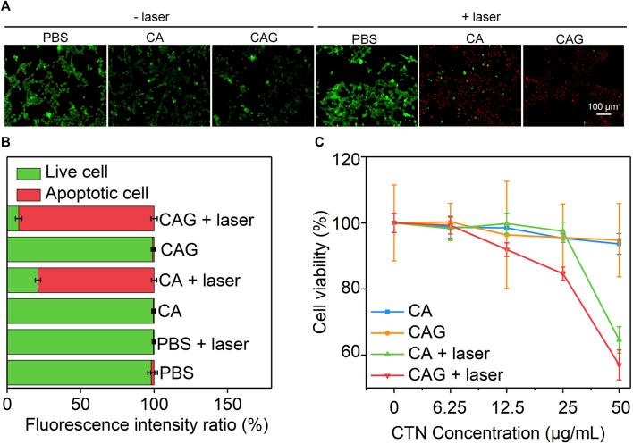 https://cdn.ncbi.nlm.nih.gov/pmc/blobs/07bb/8358069/378f981e76c9/fchem-09-736468-g003.jpg