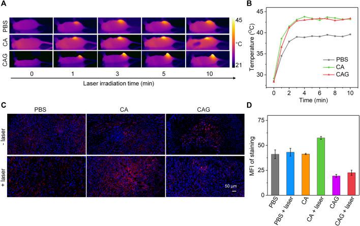https://cdn.ncbi.nlm.nih.gov/pmc/blobs/07bb/8358069/4341bf76c107/fchem-09-736468-g004.jpg