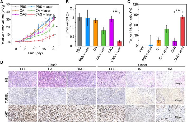https://cdn.ncbi.nlm.nih.gov/pmc/blobs/07bb/8358069/7f1714d5d333/fchem-09-736468-g005.jpg