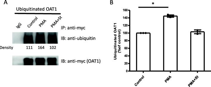 https://cdn.ncbi.nlm.nih.gov/pmc/blobs/07bb/8524912/162580bc154f/12860_2021_393_Fig3_HTML.jpg