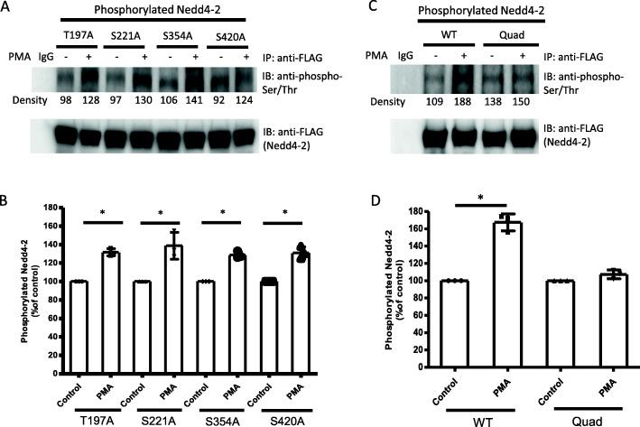 https://cdn.ncbi.nlm.nih.gov/pmc/blobs/07bb/8524912/49d7154570c6/12860_2021_393_Fig5_HTML.jpg