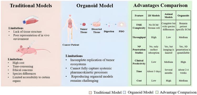 https://cdn.ncbi.nlm.nih.gov/pmc/blobs/07bd/12282546/95251a1aaa6b/DDDT-19-6125-g0004.jpg