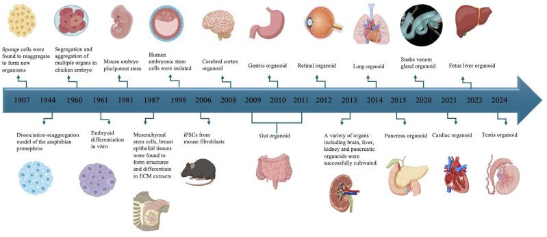 https://cdn.ncbi.nlm.nih.gov/pmc/blobs/07bd/12282546/9aa36cca48c0/DDDT-19-6125-g0003.jpg