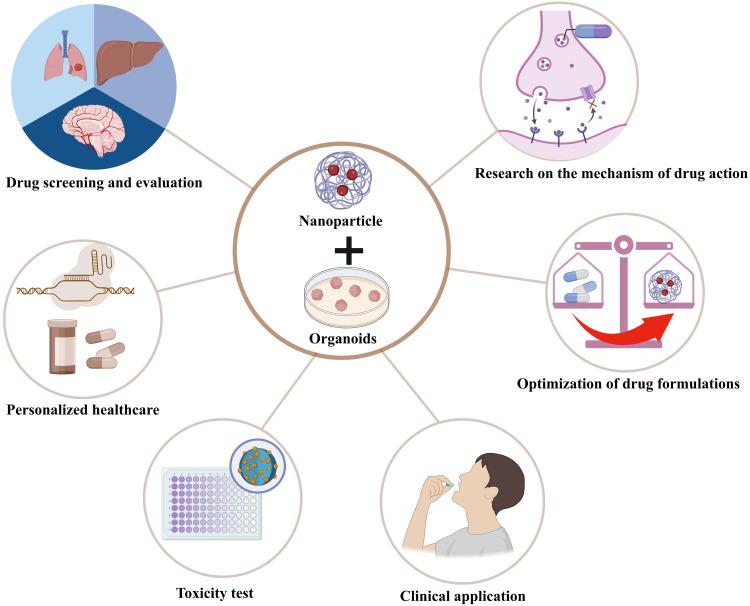 https://cdn.ncbi.nlm.nih.gov/pmc/blobs/07bd/12282546/9ca26c9b4f84/DDDT-19-6125-g0002.jpg