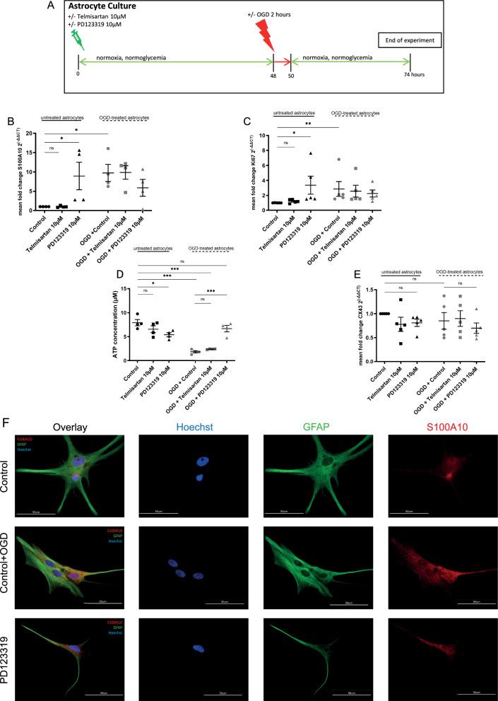 https://cdn.ncbi.nlm.nih.gov/pmc/blobs/07c2/11202395/a56d7d63970b/12868_2024_876_Fig3_HTML.jpg