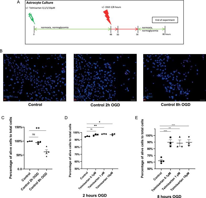 https://cdn.ncbi.nlm.nih.gov/pmc/blobs/07c2/11202395/de7267f5ff47/12868_2024_876_Fig2_HTML.jpg