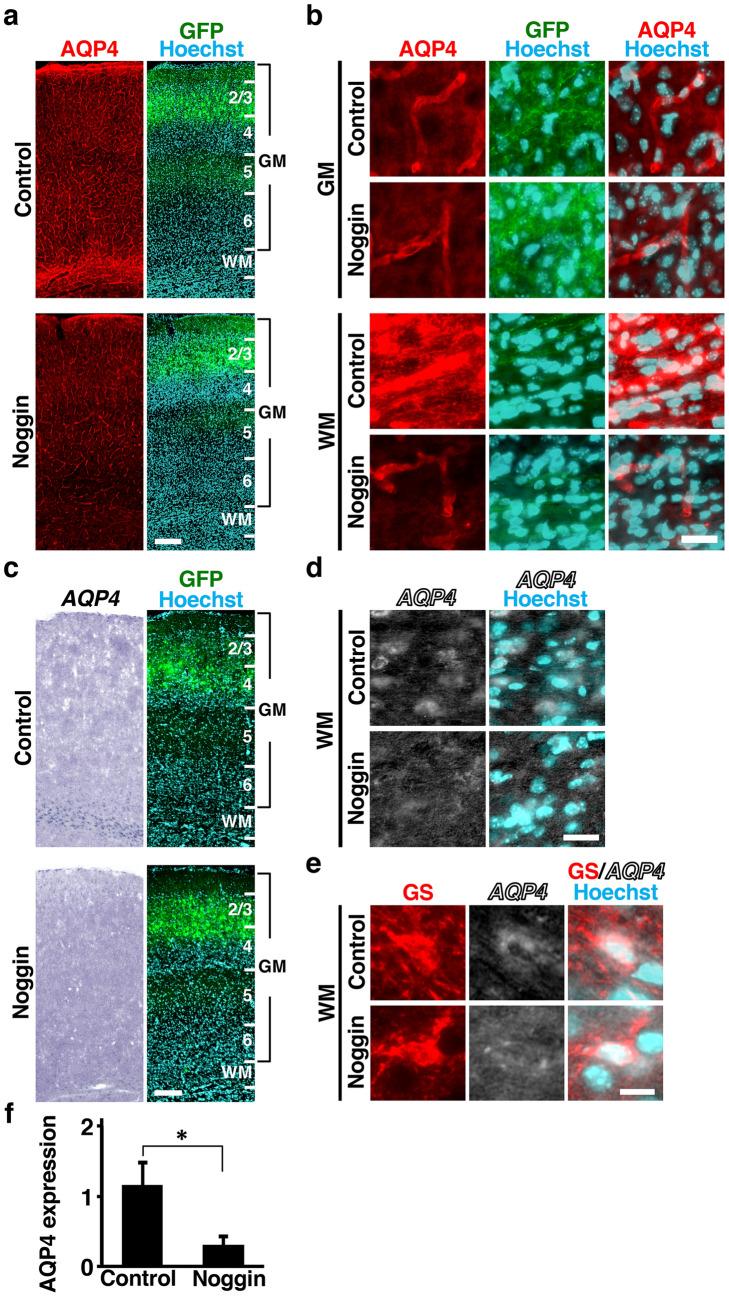https://cdn.ncbi.nlm.nih.gov/pmc/blobs/07c4/8131757/129439d4a78c/41598_2021_89997_Fig4_HTML.jpg